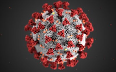 The math behind the coronavirus