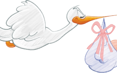 Do storks deliver babies?