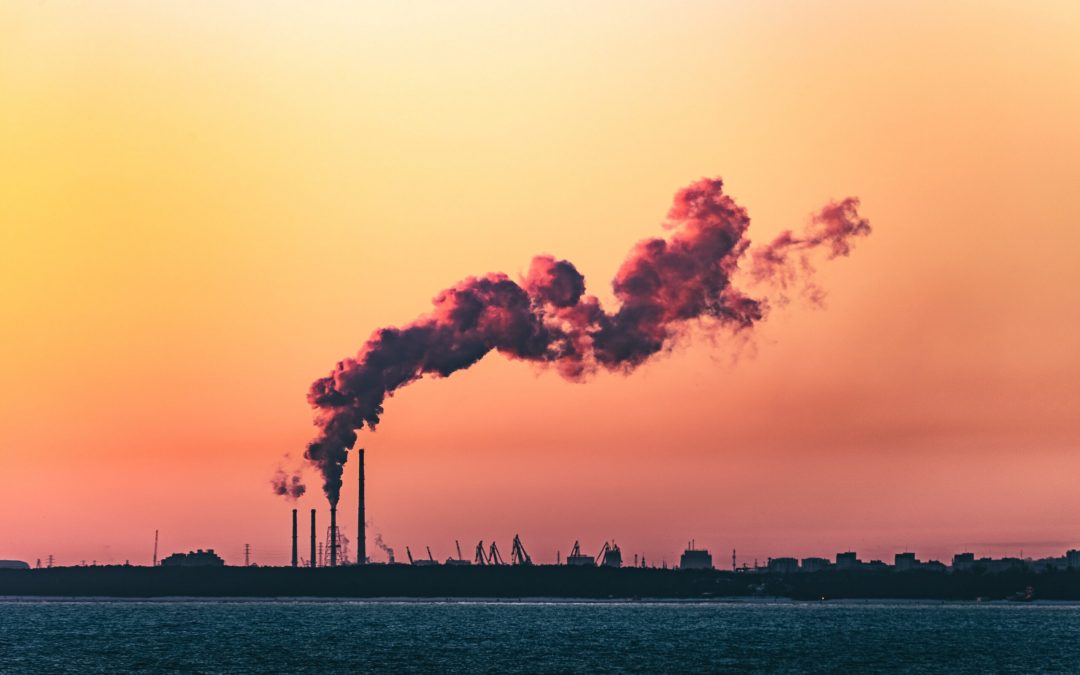 What is the price of CO2 and how can YOU change it?